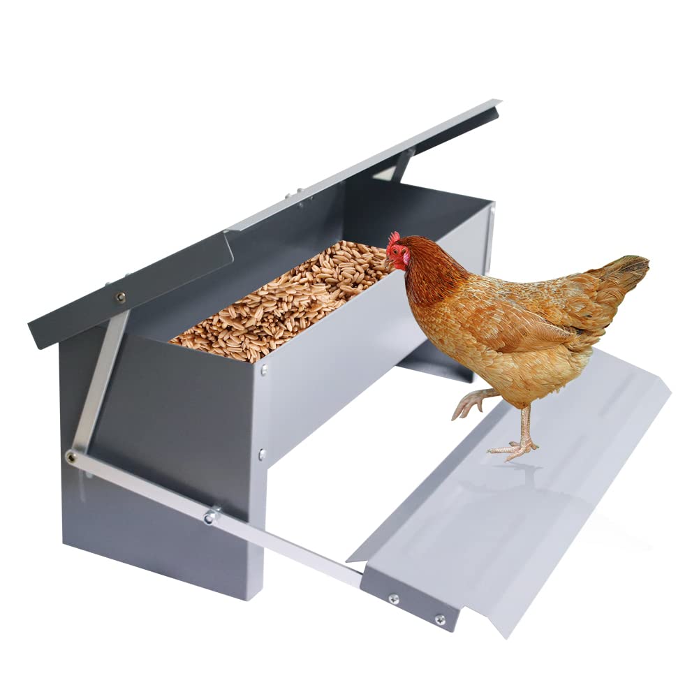 APlayfulBee Automatic Chicken Feeder 5L Treadle Galvanized Steel Poultry Feeders Self-Opening Automatic Food, with Weatherproof Lid Rain Cover for Roosters Pheasant Chicken Outdoor Coop