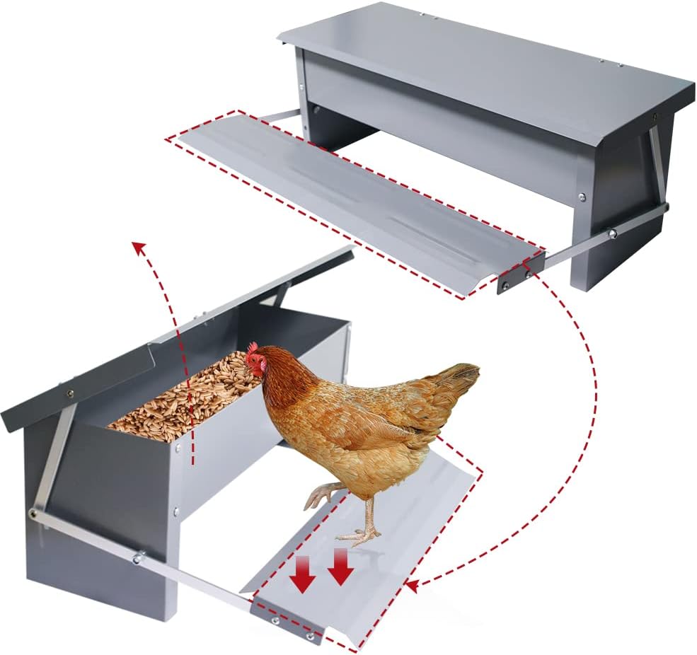 APlayfulBee Automatic Chicken Feeder 5L Treadle Galvanized Steel Poultry Feeders Self-Opening Automatic Food, with Weatherproof Lid Rain Cover for Roosters Pheasant Chicken Outdoor Coop