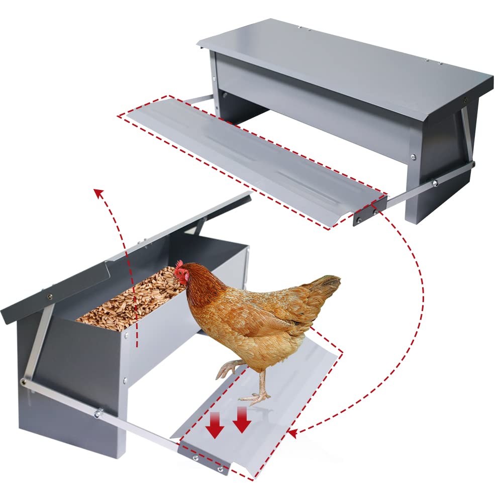 APlayfulBee Automatic Chicken Feeder 5L Treadle Galvanized Steel Poultry Feeders Self-Opening Automatic Food, with Weatherproof Lid Rain Cover for Roosters Pheasant Chicken Outdoor Coop