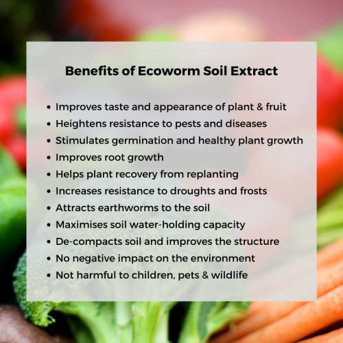 Ecoworm Soil Extract – Organic Liquid Vermicompost Fertilizer & Soil Microbe Booster for Fruits, Vegetables & Gardens – 35 fl oz (Makes 53 Gallons)