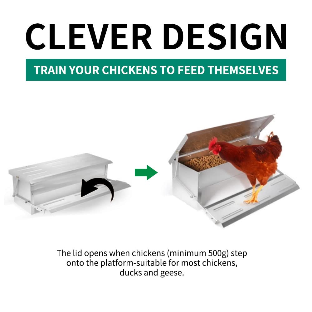 Abustle pig 5L Automatic Chicken Feeder Poultry Treadle Galvanized Steel Trough for Roosters Pheasant Chicken Outdoor Coop, Rat Proof with Weatherproof Lid