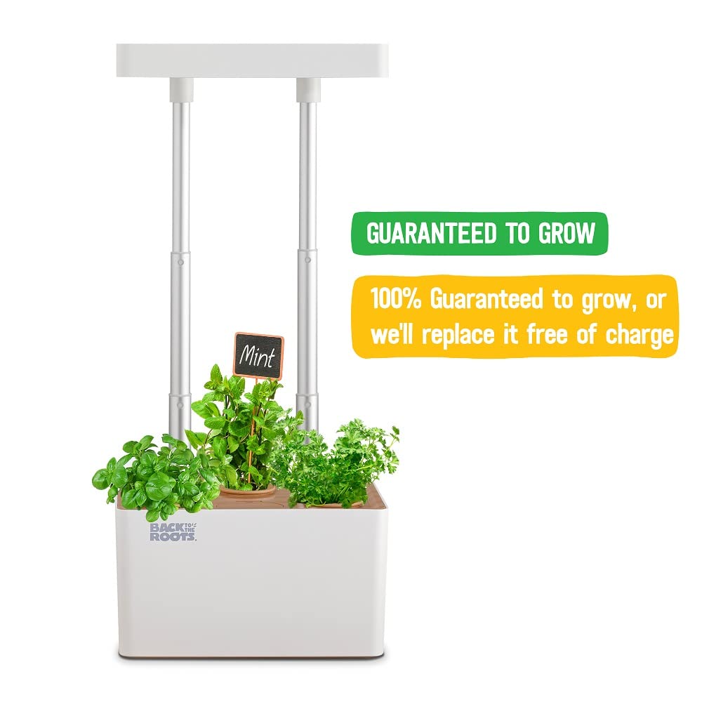 Back to the Roots v1.0 Hydroponic Grow Kit, 2022 Model (Pack of 4)
