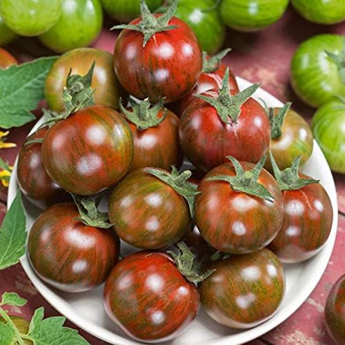 Park Seed Cherry Tomato Seeds, Planting Vegetables, Easy to Grow, Non-GMO, Variety of Colors and Sizes, Spring Garden, Gum Drop Brown, Pack of 30