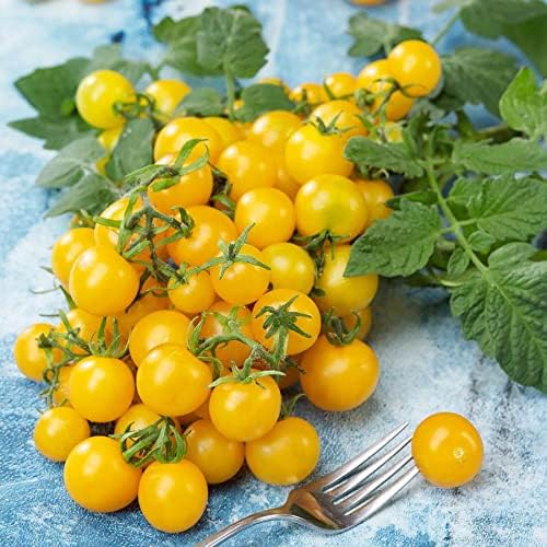 Park Seed Cherry Tomato Seeds, Planting Vegetables, Easy to Grow, Non-GMO, Variety of Colors and Sizes, Spring Garden, Lemon Drop (Improved), Pack of 30