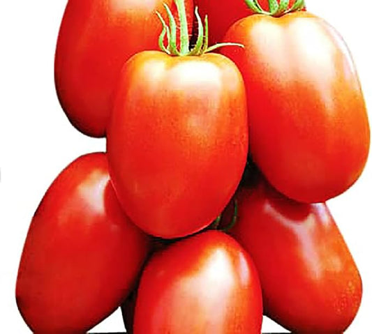 Roma Tomato Seeds - Makes Womderful Sauces and Soups