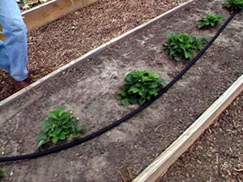 Rocky Mountain Goods 25 Foot Flat Weeper Soaker Hose - Drip Irrigation - Double Layer Design - Saves 70% Water - Consistent Drip Entire Length of Hose - Includes 3 Pressure Reducing Discs