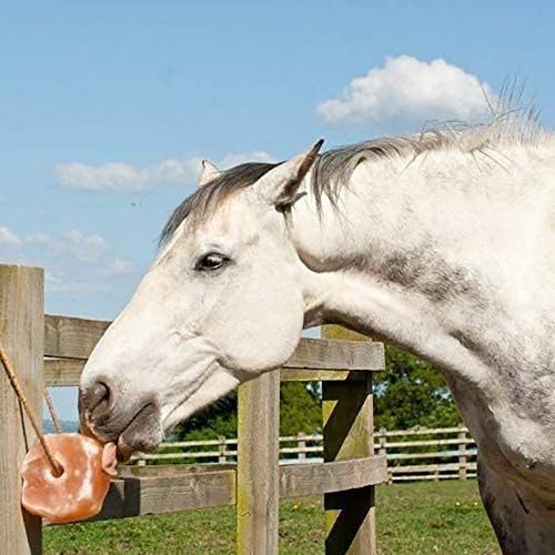 The Original Salt Company 100% Organic Himalayan Salt Lick Provides Essential Minerals for Your Horse/Livestock. This 4.4 lbs Natural Pink Salt Block on a Rope Supports Hydration/Digestion/Wellness.