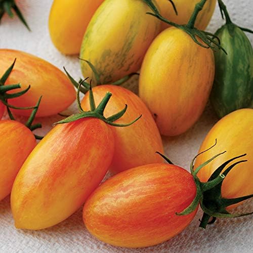 Park Seed Cherry Tomato Seeds, Planting Vegetables, Easy to Grow, Non-GMO, Variety of Colors and Sizes, Spring Garden, Artisan Blush Organic, Pack of 20