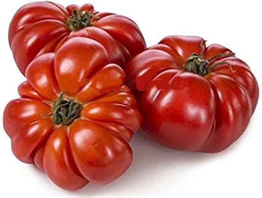 Constoluto Tomato Seeds - Large Ribbed Tomato - One of The Most Delicious Tomatoes for Home Growing,
