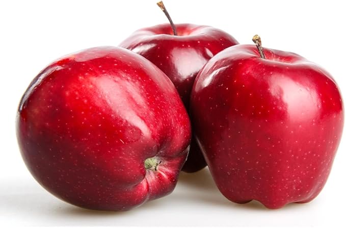 American Plant Exchange Live Red Delicious Apple Tree, Fruit-Bearing Plant Pot for Harvest and Home and Garden Decor, 3-4' Tall, 5-Gallon Pot