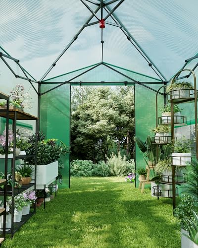8X12 FT Portable Greenhouse for Outdoor,243 x 365 CM Wall in Pop Up Greenhouse for Gardening Plant, Zipper Roll Up Door & 4 Mesh Window, Double Frame, PE Cover Grow Tent for Winter, Green
