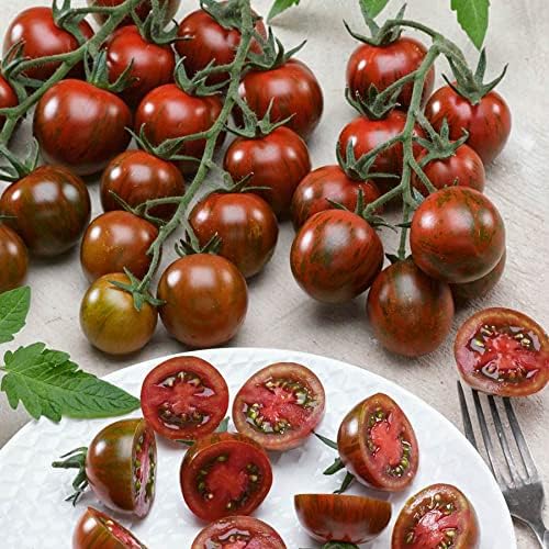 Park Seed Cherry Tomato Seeds, Planting Vegetables, Easy to Grow, Non-GMO, Variety of Colors and Sizes, Spring Garden, Gum Drop Black, Pack of 30