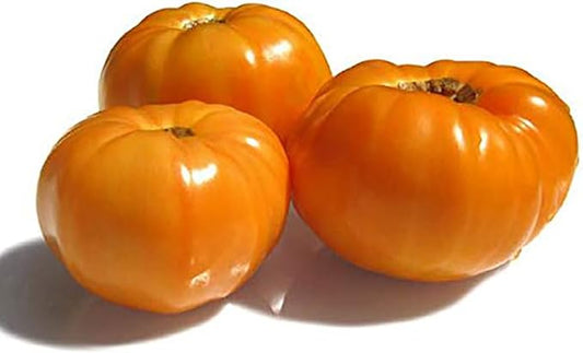 Amana Orange Heirloom Tomato Seeds - Large Tomato - One of The Most Delicious Tomatoes for Home Growing
