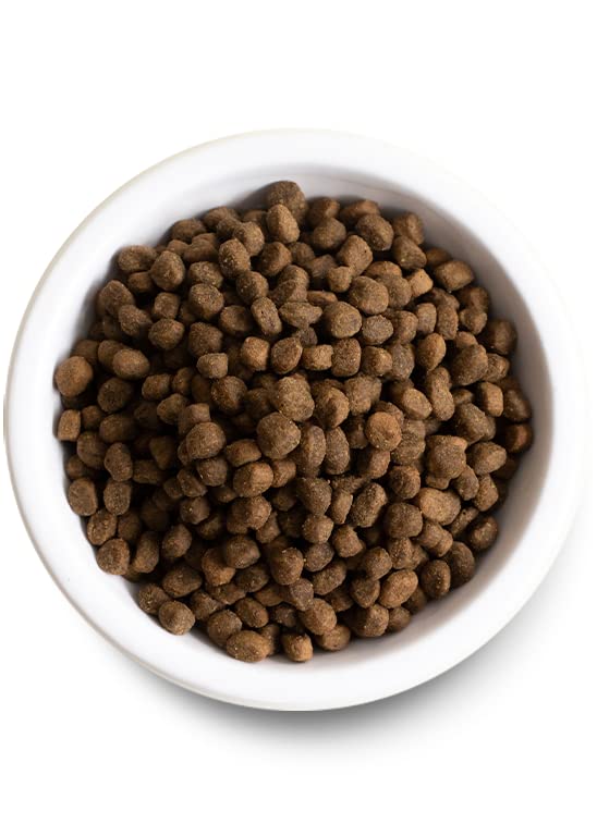 Open Farm, Ancient Grains Dry Dog Food for Puppies, Protein-Rich & Nutrient Dense, 90% Animal Protein Mixed with Non-GMO Fruits, Veggies and Superfoods, Chicken & Salmon Recipe for Puppy, 4lb Bag