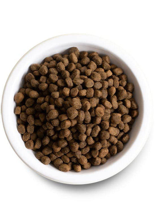 Open Farm, Ancient Grains Dry Dog Food for Puppies, Protein-Rich & Nutrient Dense, 90% Animal Protein Mixed with Non-GMO Fruits, Veggies and Superfoods, Chicken & Salmon Recipe for Puppy, 4lb Bag