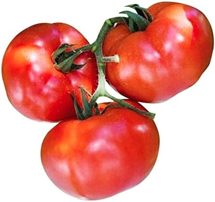 Stupice Heirloom Tomato Seeds - Large Tomato - One of The Most Delicious Tomatoes for Home Growing, Non GMO - Neonicotinoid-Free.