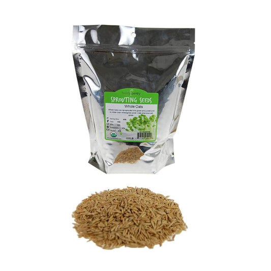 Handy Pantry 2 Lb Organic Non-GMO Whole Oat Grain Seeds (with Husk Intact) - Oats Seed Grains, for Sprouting, Oat Grass, Animal Feed, Storage & More