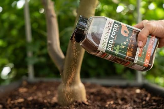Soil Food - (1 Pound Shaker) | Regenerative Soil Amendment with Microbes, Microbe Food, Biochar & Organic Fertilizer | Yield-Boosting Concentrate |