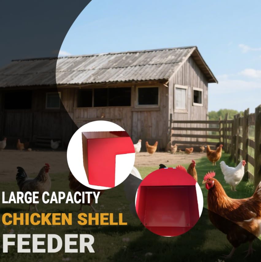 Chicken Oyster Shell Feeder and Grit Feeder Metal Chicken Feeder Chicken coop Accessories Automatic Chicken Feeder (Black & Red)