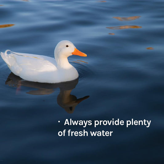 New Country Organics - Duck Layer Feed - Adult & Laying Duck Food - Soy-Free, 17% Protein - Certified Organic & Non-GMO - 40 lbs