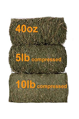 Grandpa's Best Timothy Hay Bale, 40 oz