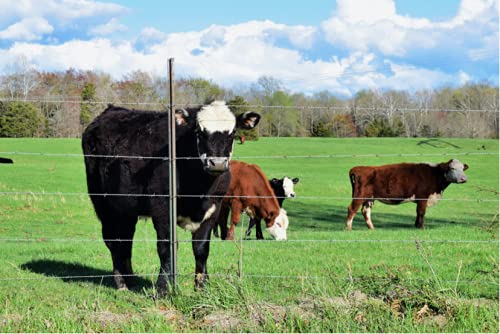 AgriOtter Electric Fence Energizer 20 Acre 2 in 1 Powered by Battery or AC Outlet 10000V 2J Pulse Electric