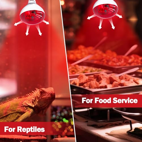 Tujinxiangsheng 250 Watt R40 Red Heat Lamp Bulbs (2-Pack) - Infrared Incandescent Light Bulb for Chickens, Chicks, Reptiles, Pets, Poultry, Brooder, Coop, Bathroom & Sauna - E26 Base, 120V