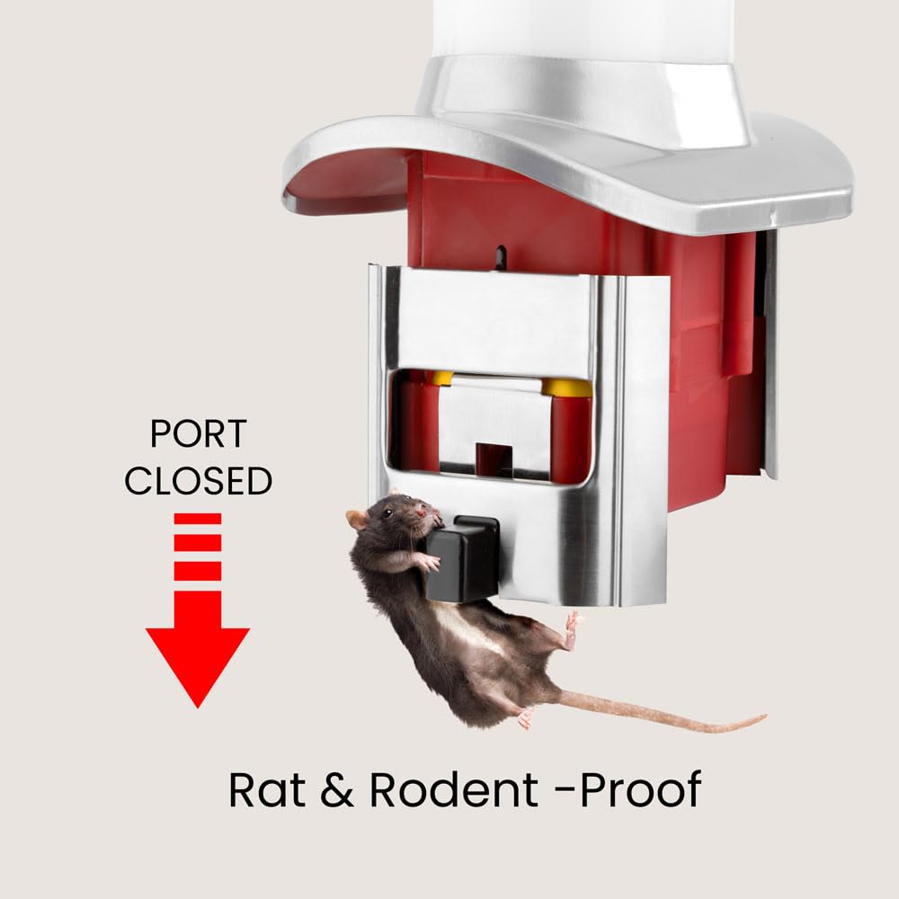 Roamwild Rat Proof Chicken Feeder kit - Rat Proof Poultry Feeder – Weather Proof - 8lbs Capacity - NEW PRODUCT