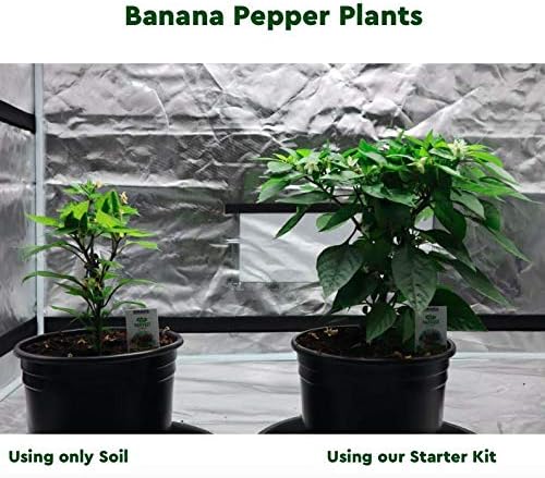 Humboldts Secret Starter Kit Pack | Indoor and Outdoor Plant Fertilizer and Hydroponic Nutrients | Base A & B, CalMag and Iron, Golden Tree, Flower Stacker, Plant Enzymes | Complete Garden System