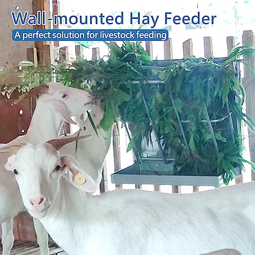 BUYYAH Hay Feeder Goat, 21 Gallon Multiple Sided Goat Hay Rack, Heavy Duty Iron 2 in 1 Hay Rack for Sheep, Horses, with Detachable Grain Tray, Effortless Installation in Farm, Yield