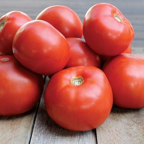 Park Seed Variety of Tomato Seeds, Planting Vegetables, Easy to Grow, Non-GMO, Perfect for Harvesting, Jamestown Red, Pack of 10