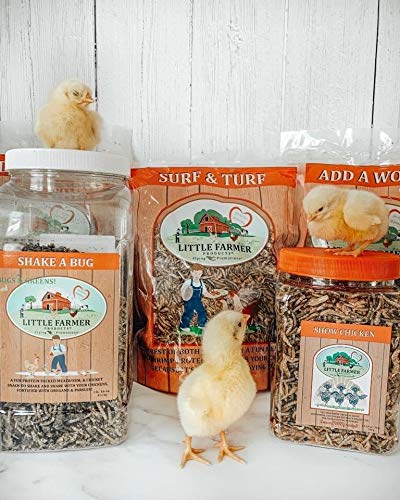 LITTLE FARMER PRODUCTS Surf & Turf | Dried River Shrimp & Mealworm Chicken Treat Premium Poultry Mix | 1 lb