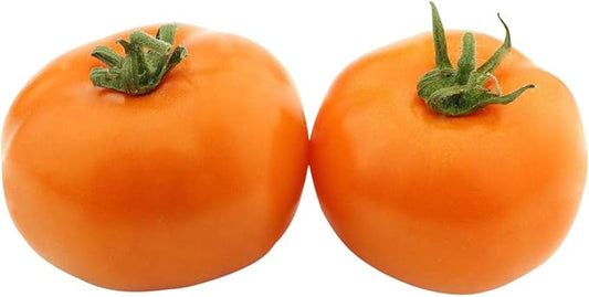 Orange Persimmon Tomato Seeds - Heirloom Large Tomato