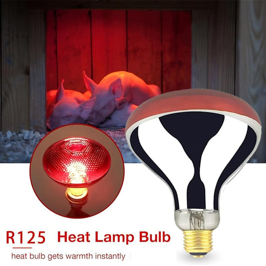 BONGBADA Heat Lamp Bulb R40 250 Watt 2 Pack Painted Red Infrared Glass Lamp Bulb for Food Service, Brooder Bulb, Chicks, Pet, Bathroom.