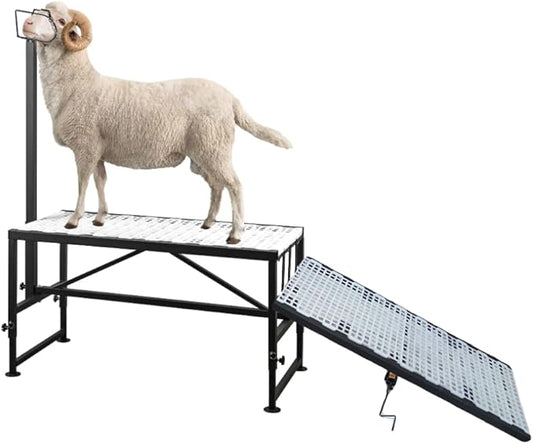 Goat Milking & Shearing Stand Bundle—47" × 22.5" Polymer Platform, 650 lbs Capacity + Matching 47" × 22.5" Non-Slip Ramp & Adjustable Riser, Easy-Clean, Fits Goats & Sheep