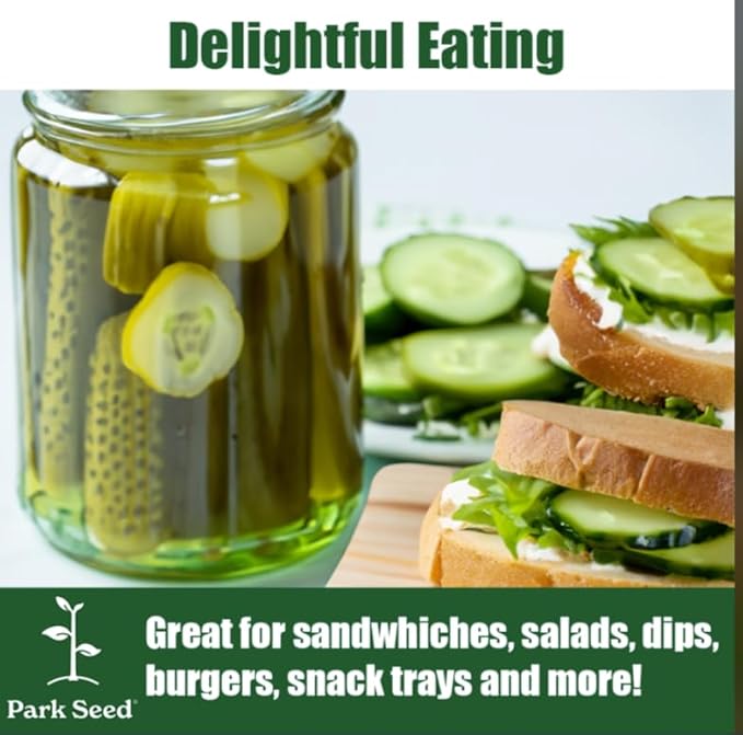 Park Seed Variety of Cucumber Seeds, Planting Cucumbers, Vegetable Seeds, Easy to Grow, Non-GMO, Perfect for Harvesting, Baby Hybrid, 2 x Pack of 10