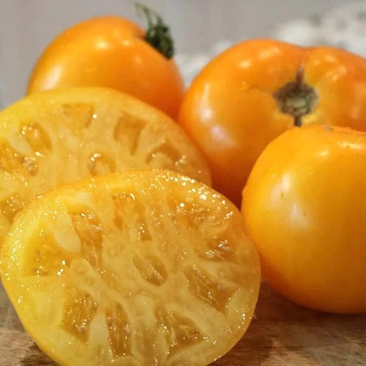 Park Seed Variety of Tomato Seeds, Planting Vegetables, Easy to Grow, Non-GMO, Perfect for Harvesting, Lemon Boy Plus, Pack of 30