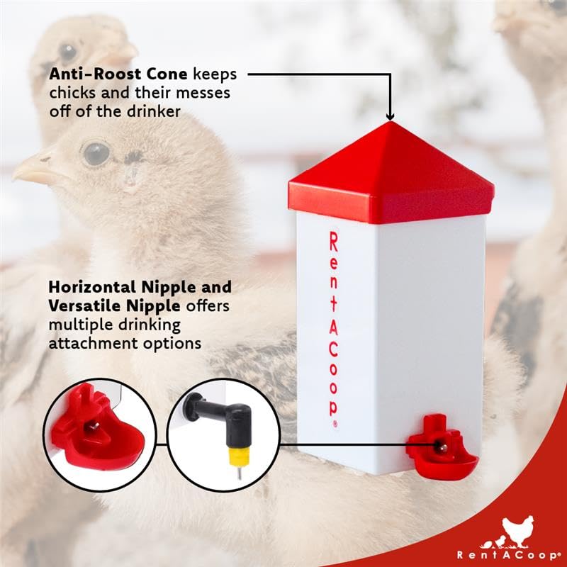RentACoop 32oz(1L) Drinker Plus 2 Versatile Nipples - Suitable for Chicks, Quail, Pigeons, Doves, and Other Smaller Birds - 1 Pack
