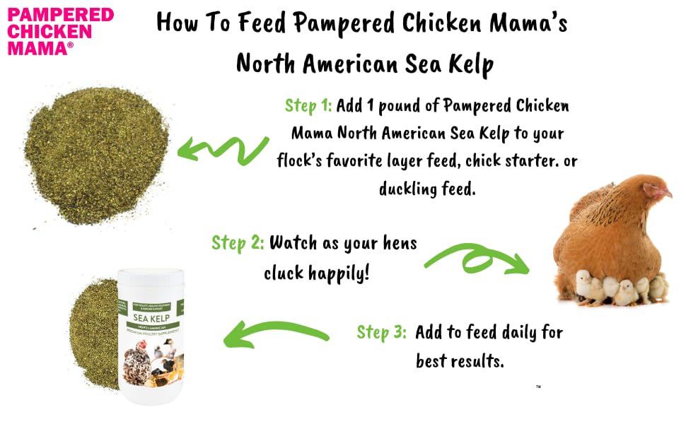 Kelp for Chickens & Duck Feed (1 Pound): Chicken Vitamins | Chicken Supplements | Vitamins for Chickens | Pampered Chicken Mama