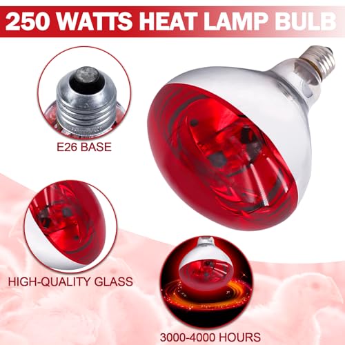 Tujinxiangsheng 250 Watt R40 Red Heat Lamp Bulbs (2-Pack) - Infrared Incandescent Light Bulb for Chickens, Chicks, Reptiles, Pets, Poultry, Brooder, Coop, Bathroom & Sauna - E26 Base, 120V