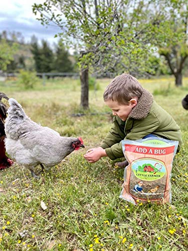 LITTLE FARMER PRODUCTS Add a Bug | Premium Poultry Mix Dried Mealworms, Silkworm Pupae and Grasshoppers | 1 lb