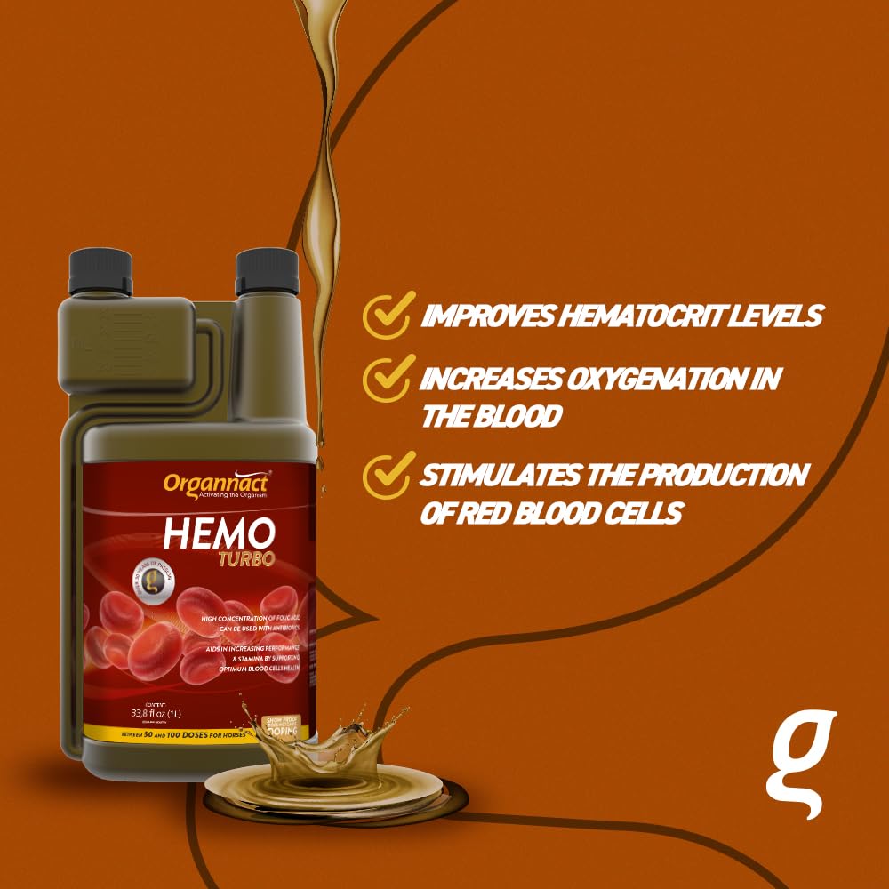 Organnact Hemo Turbo - Blood Cell Production Supplement for Horses and Livestock - Enhances Athletic Performance, Supports Anemia - Non-Doping, Green Apple Flavor - 33.8 fl oz (1L)