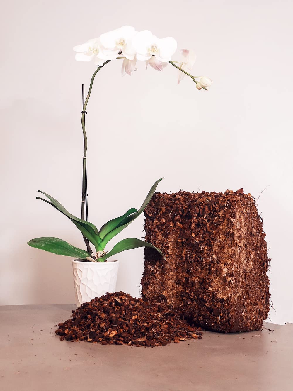 Coco Coir Husk Chips 4-Pack – 2.4 Cu. Ft. Compressed Coconut Coir Bricks, 10 lb. Natural Substrate for Indoor & Outdoor Use, Orchid Bark Alternative, Orchid Potting Mix, Indoor Plant Soil