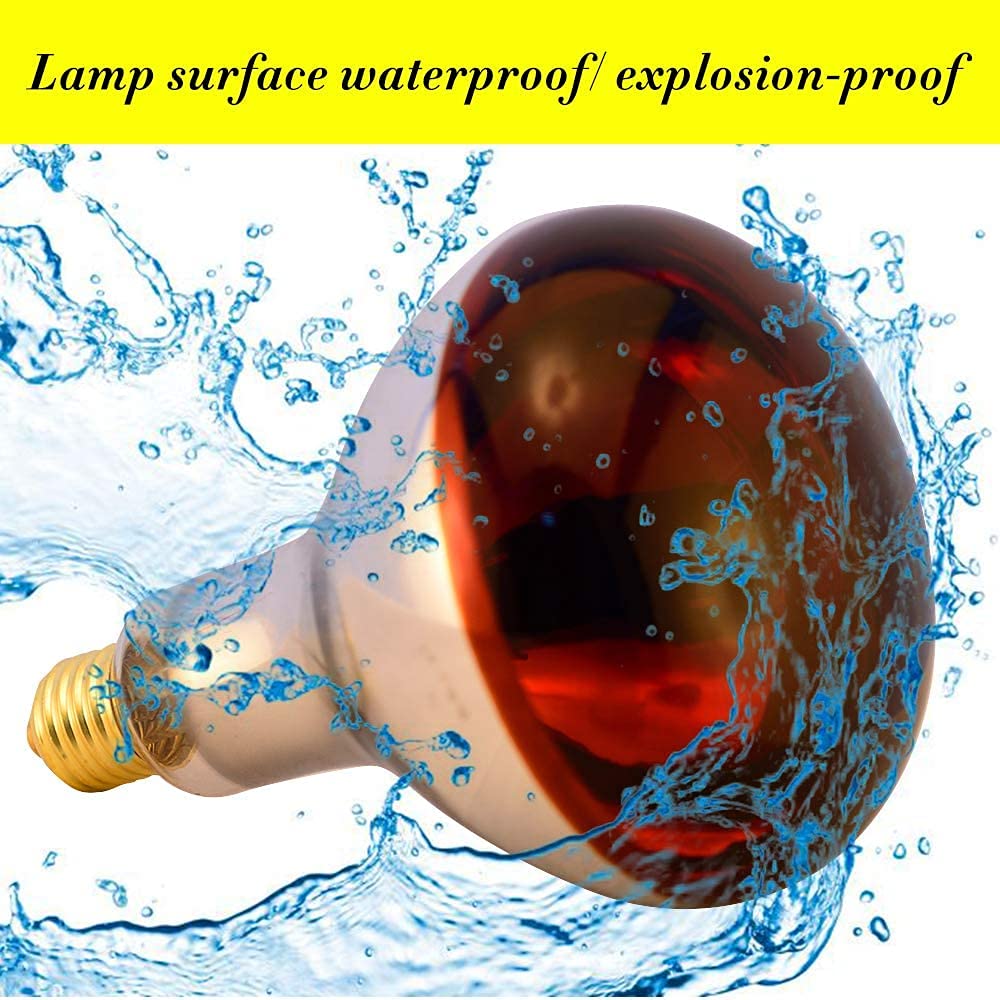 BONGBADA Heat Lamp Bulb R40 250 Watt 2 Pack Painted Red Infrared Glass Lamp Bulb for Food Service, Brooder Bulb, Chicks, Pet, Bathroom.
