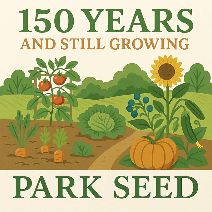 Park Seed Variety of Tomato Seeds, Planting Vegetables, Easy to Grow, Non-GMO, Perfect for Harvesting, Beefmaster Hybrid, Pack of 30