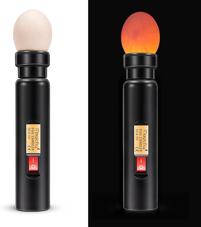 Magicfly Bright Cool LED Light Egg Candler Tester, Powered Only by Power Supply