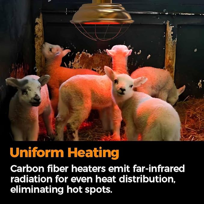600 Watt Large Range Chicken Coop Heater - Professional Heat Lamp for Chicken, Poultry and Livestock