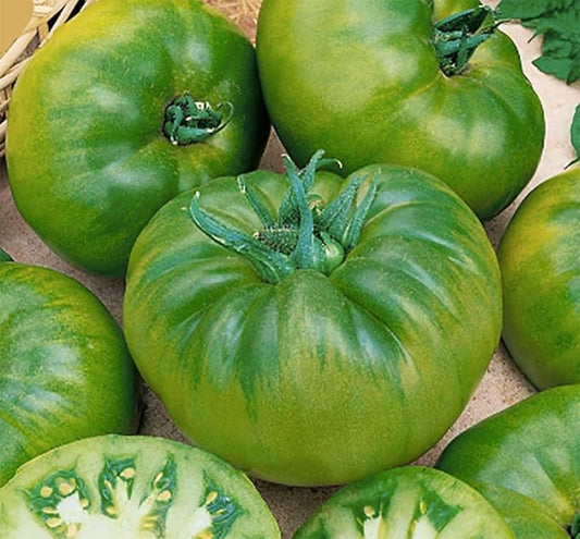 Cherokee Green Heirloom Tomato Seeds - Large Tomato - Most Delicious of The Green Tomatoes for Home Growing,