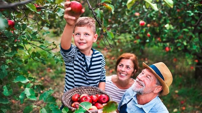 Gardenera Premium Apple Potting Soil Mix - Optimal Nutrient-Rich Blend for Thriving and Juicy Apples - 20 Quart