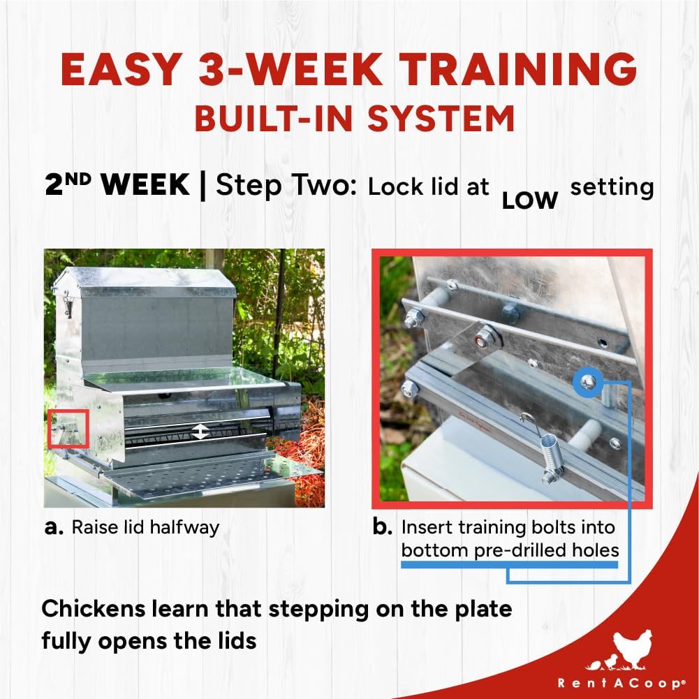 RentACoop Automatic Metal Treadle Feeder - Outdoor Use, Rainproof - Suitable for Chickens, Bantams, Poultry, Pheasants, etc. - 40lb Capacity